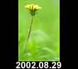 2002.08.29