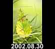 2002.08.30
