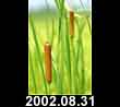 2002.08.31