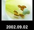 2002.09.02