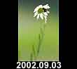 2002.09.03