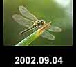 2002.09.04