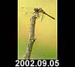 2002.09.05