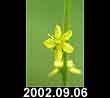 2002.09.06
