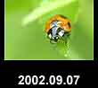 2002.09.07