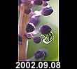 2002.09.08