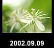 2002.09.09