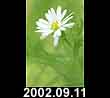2002.09.11