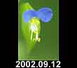2002.09.12