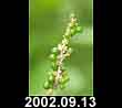 2002.09.13