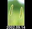 2002.09.14