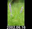 2002.09.16