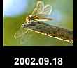 2002.09.18