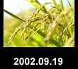 2002.09.19