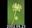 2002.09.23