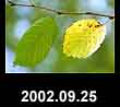 2002.09.25