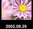 2002.09.29
