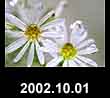 2002.10.01