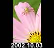 2002.10.03