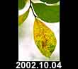 2002.10.04