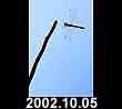 2002.10.05