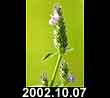 2002.10.07
