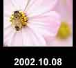 2002.10.08