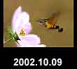 2002.10.09