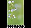 2002.10.10