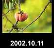 2002.10.11