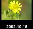 2002.10.15
