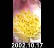 2002.10.17