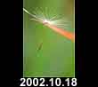 2002.10.18