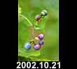 2002.10.21