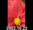 2002.10.22