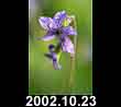 2002.10.23
