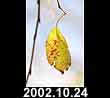 2002.10.24