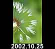 2002.10.25