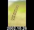 2002.10.26