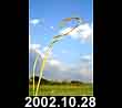 2002.10.28