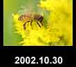 2002.10.30