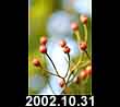 2002.10.31