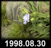 1998.08.30