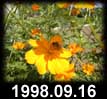 1998.09.16