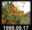 1998.09.17