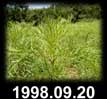 1998.09.20