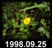 1998.09.25