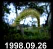 1998.09.26