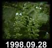 1998.09.28