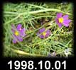 1998.10.01
